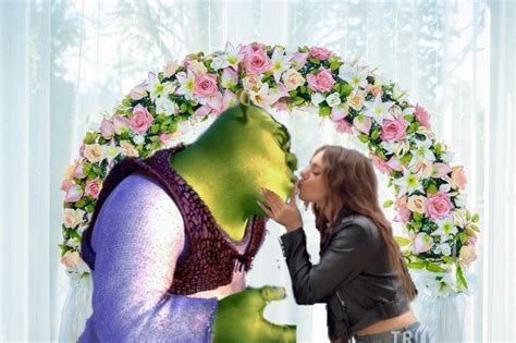 Before a Zoom meeting. . Shrek making out filter
